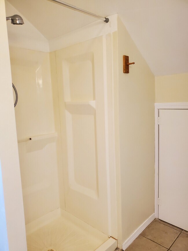 Shower - 137 Carleton St