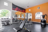 This fitness center is a thoughtfully designed, single-floor facility built to accommodate a full range of workout needs. The space features soaring ceilings that create an open, airy atmosphere, complemented by abundant natural light streaming through multiple arched and rectangular windows that offer views of the surrounding outdoor area, including a nearby pool.

The layout is divided into functional workout zones. The cardio area is equipped with Octane Fitness ellipticals and TRUE-brand treadmills and recumbent bikes, providing a comprehensive selection of aerobic exercise options. A dedicated strength training zone houses a multi-station cable machine and a rack of dumbbells in varying weights, ideal for resistance-based workouts. Open floor space with padded exercise mats offers room for stretching, core work, and free-form training.

A striking, large-scale mural depicting bold red mountain peaks adorns one wall, adding a dynamic and energizing visual element to the space. The accent walls are painted in a warm golden yellow, contrasting with the crisp white of the remaining walls and architectural trim. Rubber flooring throughout provides durability and safety. A wall-mounted flat-screen television is positioned for visibility across the room, and a classic wall clock keeps track of workout sessions. A pass-through window connects to an adjacent room, adding a sense of openness to the overall design.