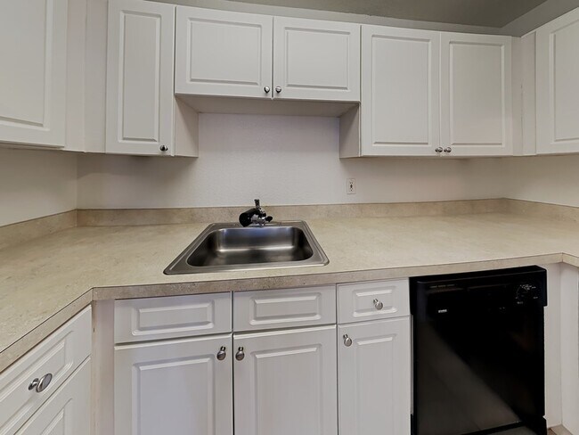 Building Photo - 2529 Caper Ln