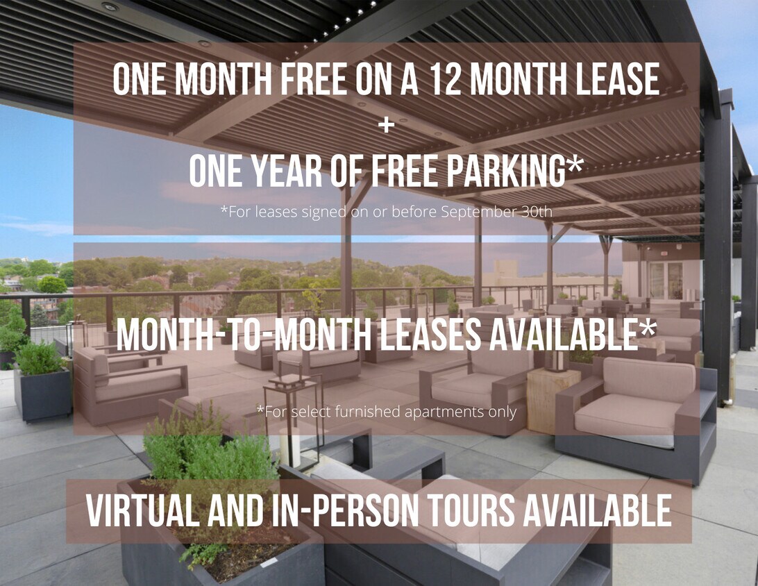 Ollie at Baumhaus Apartments Pittsburgh, PA