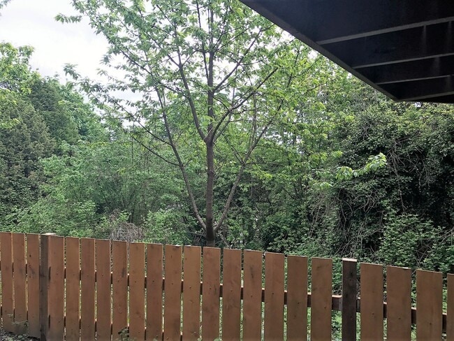 Photo - Charleston District- 1 bed 1 bath with W/D... Apartment