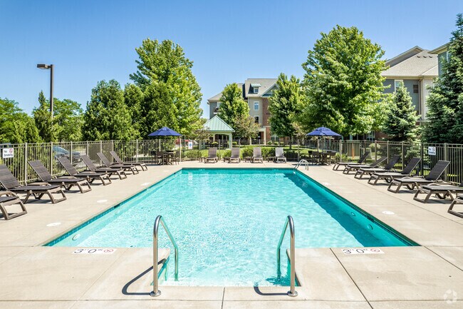 Piscina - Leopold Place