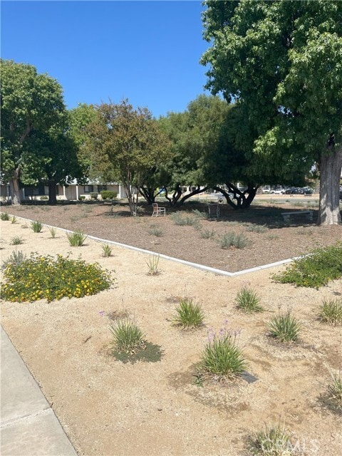 Building Photo - 27067 Sun City Blvd