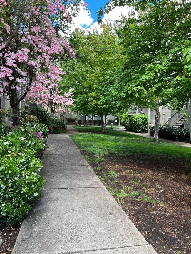Foto del edificio - 3163 Juniper Ridge Dr