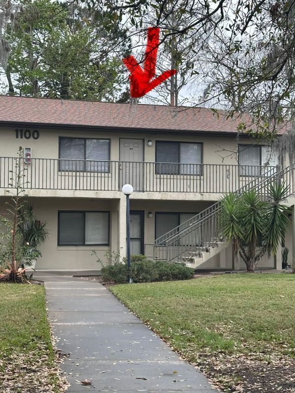 Building Photo - 1601 Big Tree Rd