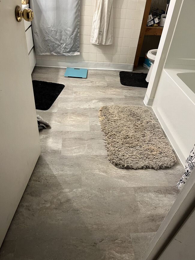 New bathroom floor, shower, toilet! - 400 W Cedar St