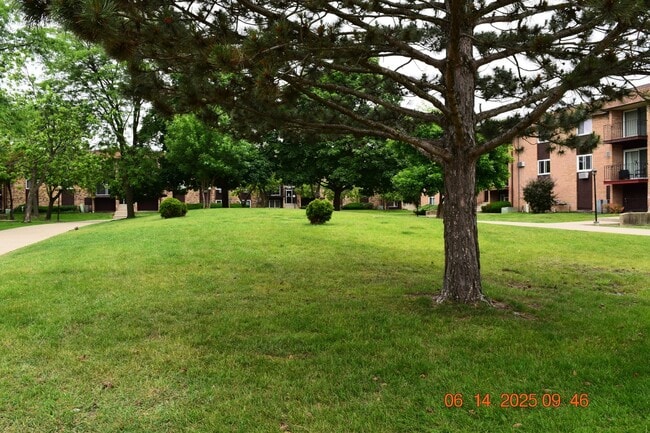 Building Photo - 1180 Meadow Ln