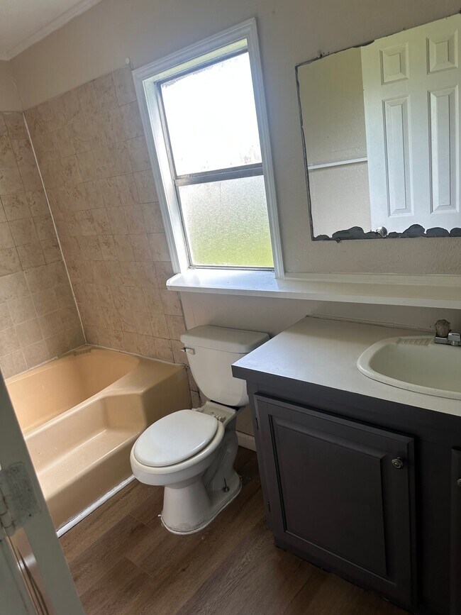 Foto del edificio - 208 Forest Creek Ln