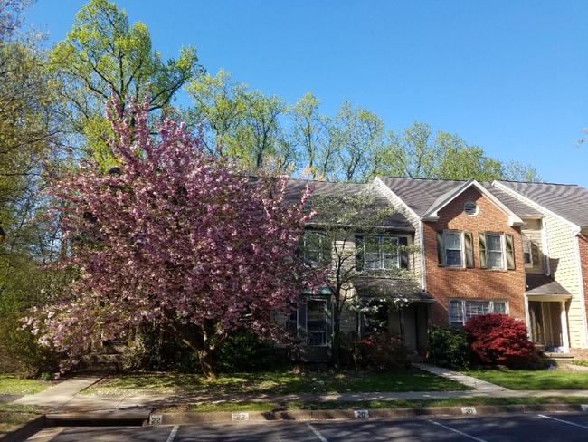 Photo - 11822 Great Owl Cir Townhome