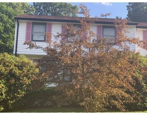 Primary Photo - 3 bedroom in Randolph MA 02368