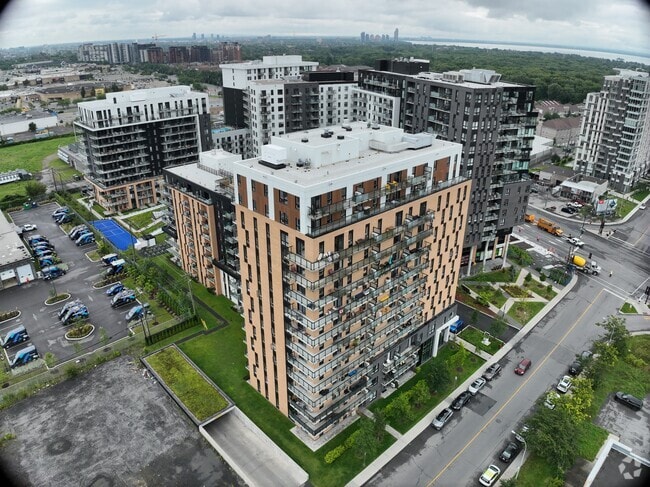 3D Exterior - Mostra Newman