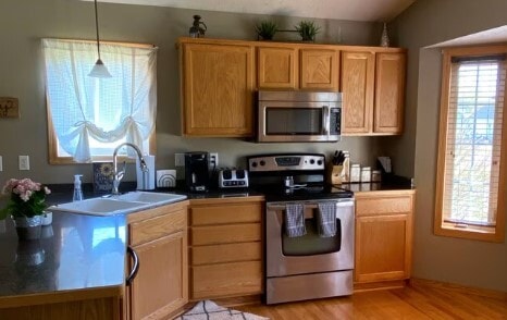 Building Photo - 345 Blue Spruce Ln