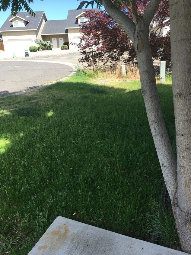 Foto principal - Your Terrace Heights Retreat- Spacious com...