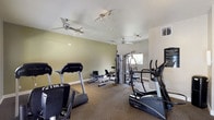 This single-floor fitness center is thoughtfully designed to support a comprehensive workout experience. The space is divided into distinct exercise zones, each outfitted with quality True-brand equipment. The cardio area features multiple treadmills, an elliptical trainer, and a recumbent stationary bike, providing a full range of aerobic options. A dedicated strength training zone includes a multi-cable resistance machine, a weight bench, and a rack of dumbbells, accommodating both machine-based and free-weight training. The flooring throughout is carpeted, offering a comfortable surface underfoot. Ceiling fans are installed across the facility, promoting airflow and comfort during workouts. Track lighting supplements the natural light that enters through several windows, keeping the space bright and energizing. A wall-mounted flat-screen television is positioned for viewing during cardio sessions, accompanied by a wall mirror that enhances the sense of openness. Double French doors provide a welcoming entry point and allow additional natural light to fill the room. The walls are painted in calming neutral and sage green tones, contributing to a clean, focused atmosphere suited for exercise.