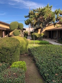 Primary Photo - 61 W Santa Ana Ave