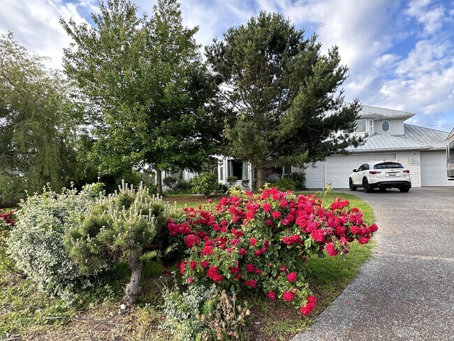 Foto del edificio - 1541 Ocean View Ln