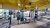 Located on Wilshire Boulevard in Los Angeles, this fitness center offers a generously sized, single-floor exercise space designed to support a comprehensive workout experience. The facility's industrial-modern aesthetic is defined by striking yellow-painted exposed ductwork and structural beams overhead, complemented by crisp white walls and cylindrical pendant lighting that bathes the floor in bright, even illumination.

The main exercise area is divided into distinct workout zones. A robust strength training section houses a variety of cable machines, multi-function weight stations, a power rack with barbell and bench, and a full dumbbell rack, all reflected across wall-length mirrors that enhance the sense of openness. The cardio zone, positioned along the windowed perimeter, features multiple treadmills, ellipticals, stationary bikes, and a stair climber, benefiting from natural light and outward views. A dedicated functional training alcove offers yoga mats, medicine balls, and exercise accessories alongside a wall-mounted monitor, ideal for stretching and dynamic workouts.

Durable, striped carpet tiles cover the main floor, while rubberized flooring in designated zones provides appropriate support for lifting and floor exercises. The space is thoughtfully arranged to allow comfortable movement throughout, making it a fully equipped and visually dynamic fitness destination.