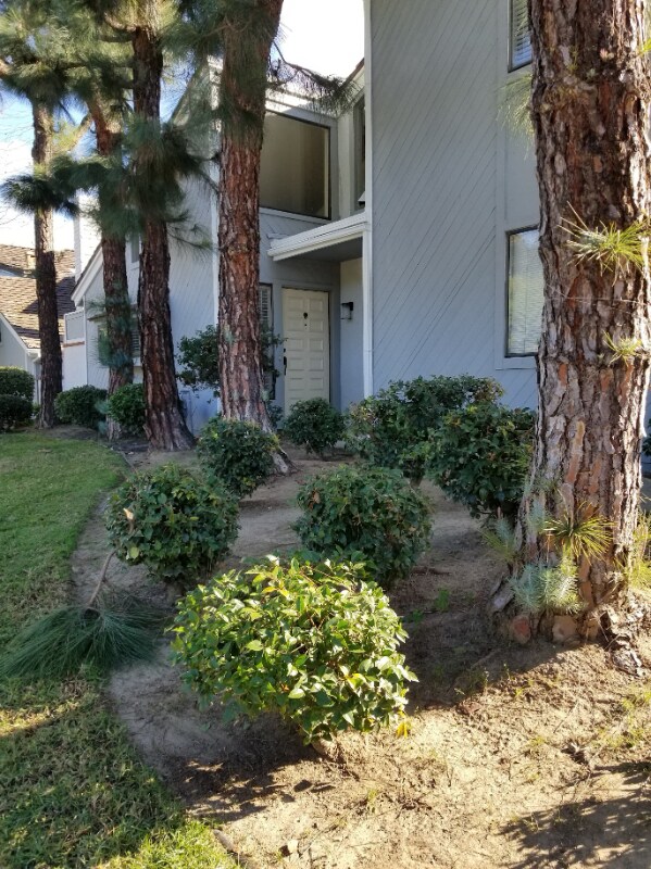 Primary Photo - 1512 Bruinbark Ln