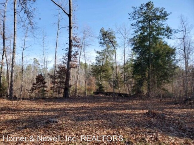 Building Photo - 3 br, 2 bath House - 11900 Coalboro Road