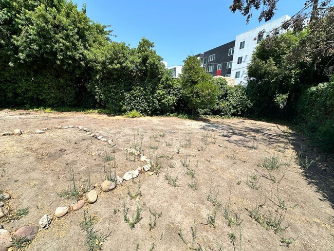 Building Photo - House Extremely Close to Campus!! Massive ...