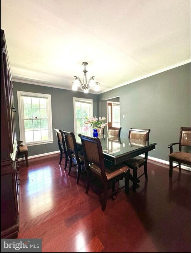 Foto del edificio - 8407 Finlay Ct