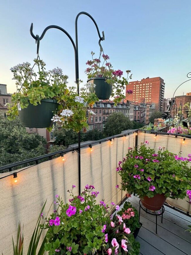 Building Photo - 247 Beacon St