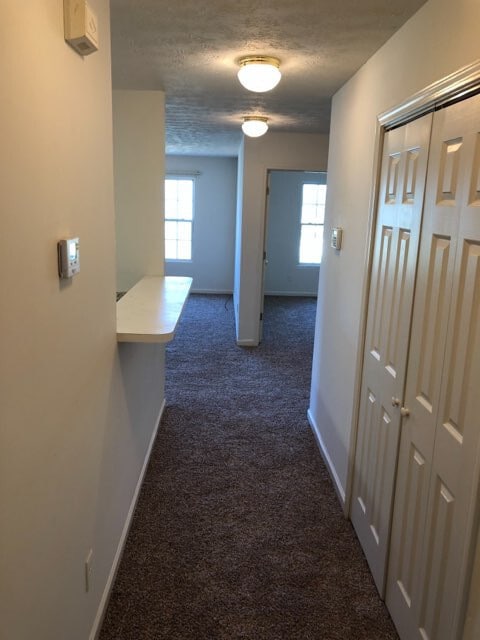 Building Photo - 2666 Spenola St