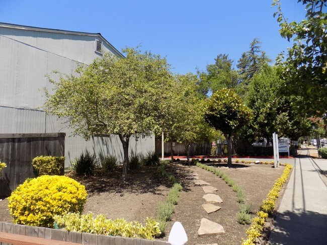 Building Photo - 533 Walkham Pl