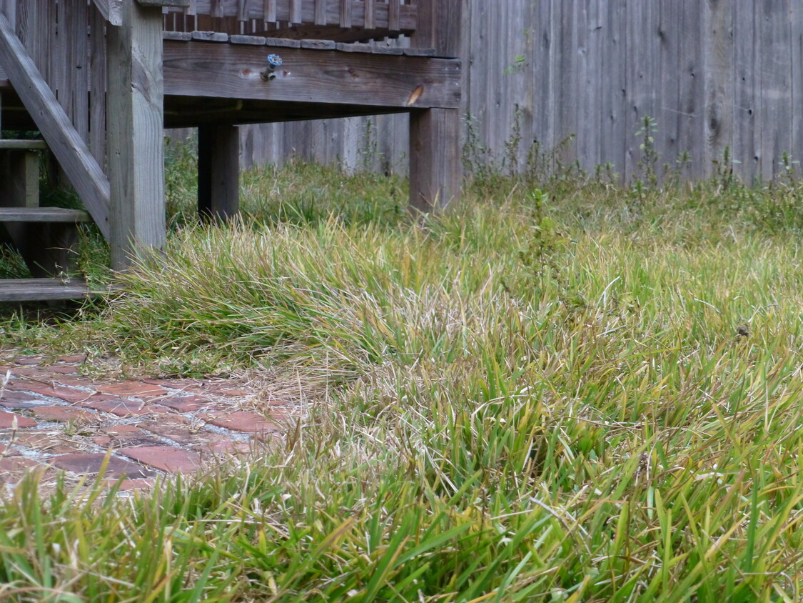 Good sized back yard includes large deck, small patio, and raised beds for planting. - 3230 PARK AVE