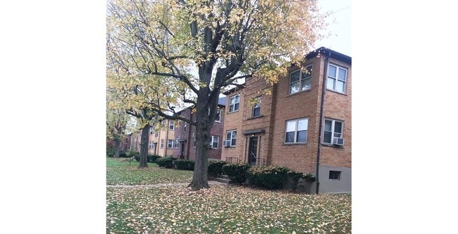 Edroy Ext - Edroy Court