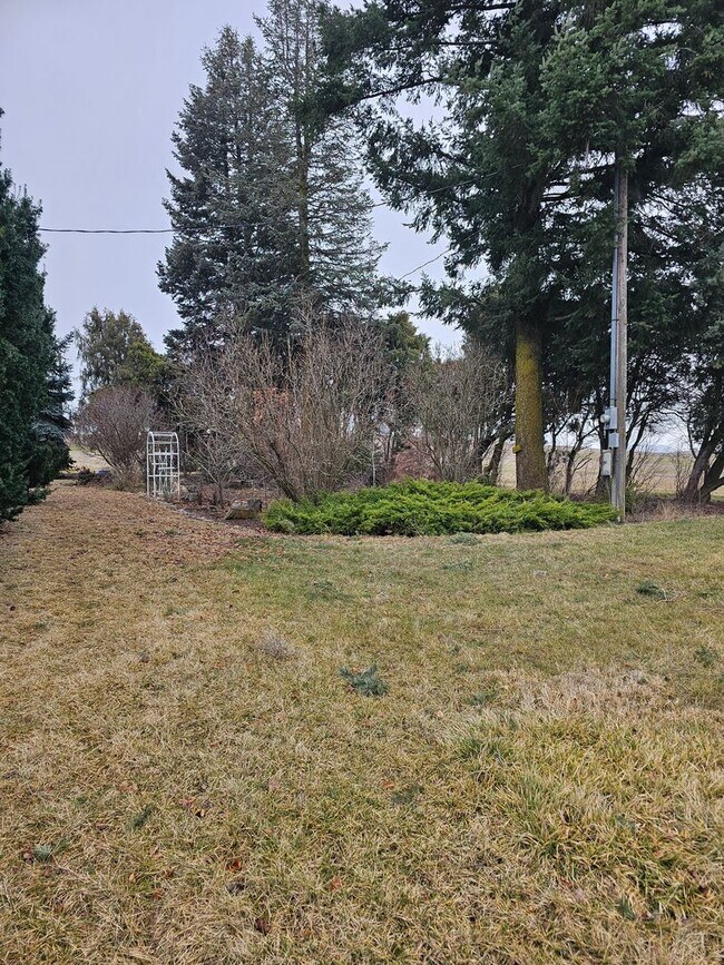 Foto del edificio - 1101 Stan Wilcox Rd