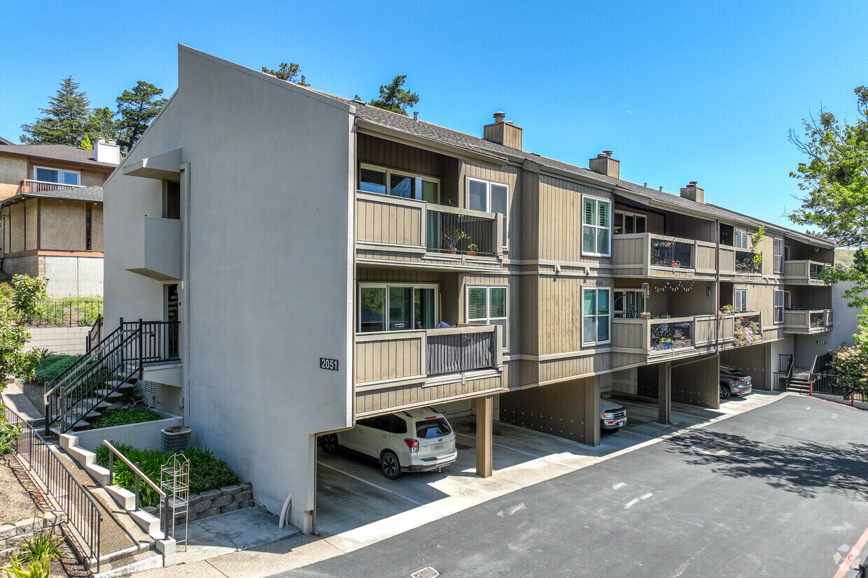 Primary - Moraga Terrace