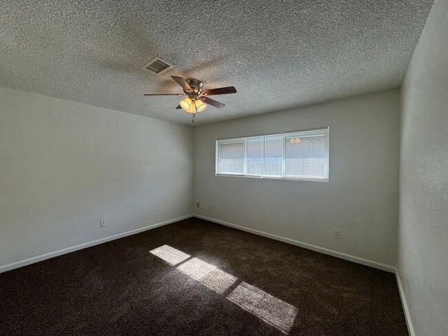 Building Photo - Beautiful Northeast home!