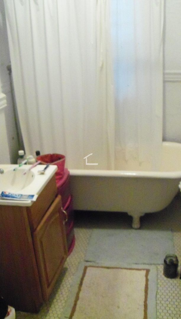 Building Photo - Beautiful Studio Available 6/1