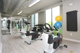 Located at 6870 Governors West NW in Huntsville, Alabama, this fitness center is a comprehensively outfitted single-level facility designed to support a wide range of workout routines. The space is organized into distinct functional zones, allowing users to move seamlessly between cardio, strength, and free-weight training areas.

The cardio zone is anchored by multiple treadmills, ellipticals, and a rowing machine, all positioned in front of wall-mounted televisions for entertainment during workouts. Large floor-to-ceiling windows along one wall flood this section with abundant natural light and provide outdoor views of the surrounding landscaping. Ceiling fans overhead contribute to a comfortable training environment.

The strength training area features a power rack with a cable system, weight bench, and additional cable machines, offering a full range of resistance training options. A dedicated free-weight station includes a tiered dumbbell rack alongside stability balls and a workout bench, positioned near expansive windows that continue the theme of natural light throughout.

The functional fitness zone provides open floor space with carpet flooring, a plyo box, and a circular trampoline for dynamic training. Walls throughout are finished in a contemporary gray palette with a bold yellow horizontal stripe accent, giving the space a modern, energetic aesthetic. Overhead fluorescent lighting and exposed ductwork complete the clean, utilitarian design.