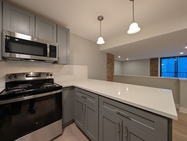 Building Photo - 1214 N La Salle Dr