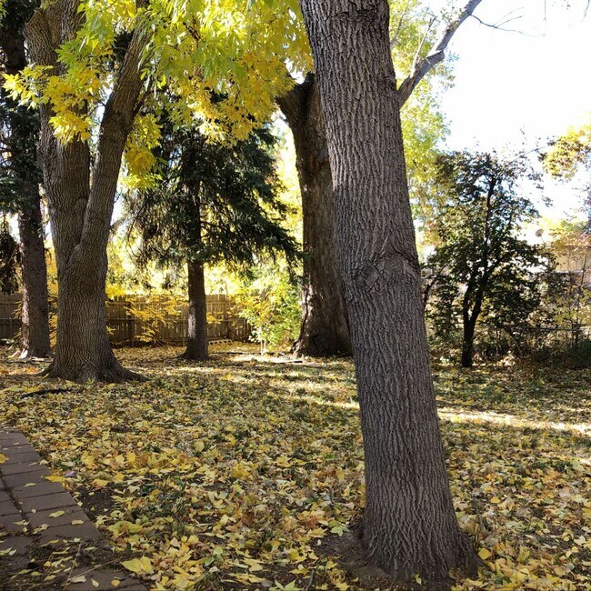 Foto del edificio - 2721 Meadowlark Ave