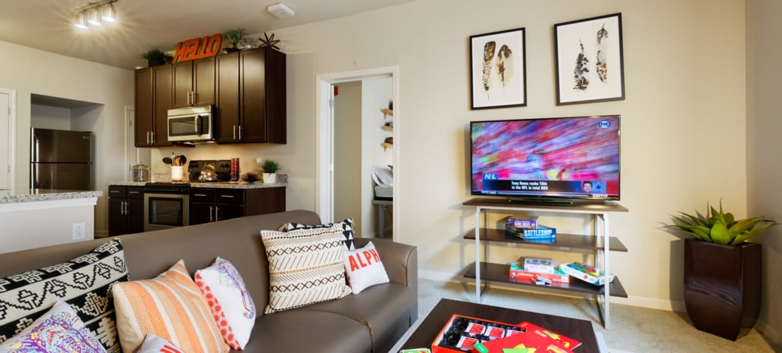 Living Room - 1175 13th St E