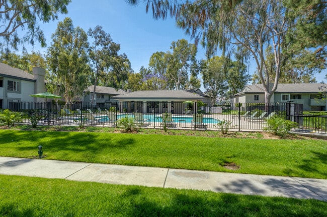 Front pool - Monterey Pines Apartments