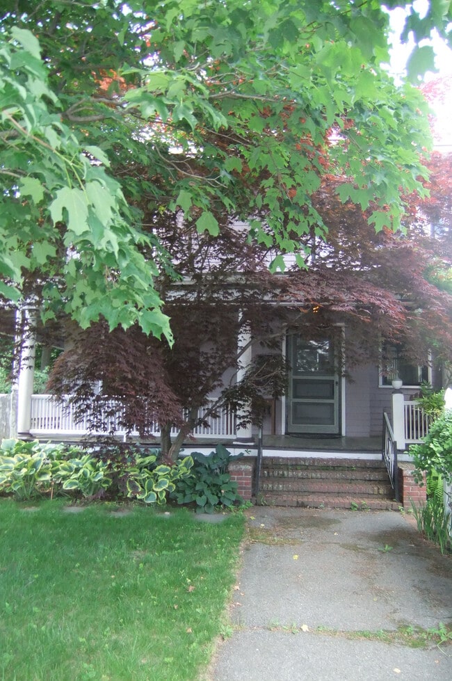 Building Photo - 61 Judkins St