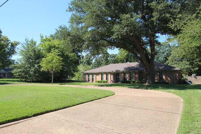 Building Photo - Stunning 4 bedroom 2 bath remodel near UT ...