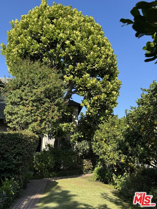 Foto del edificio - 7917 Norton Ave