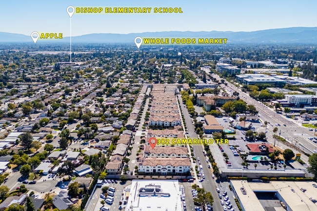 Building Photo - 382 Camarillo Ter