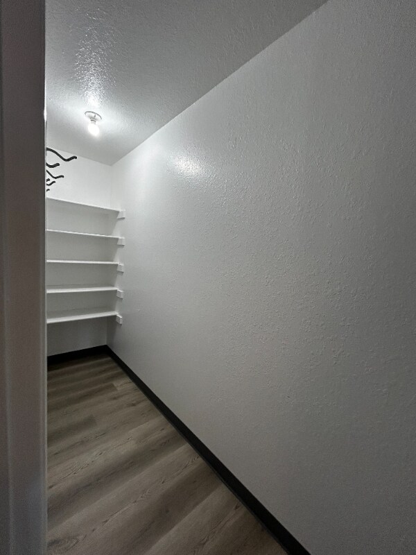 Building Photo - 3814 Beechnut St