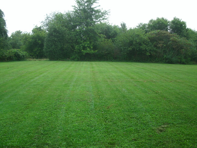 Back Yard - 215 Bowers Bridge Rd