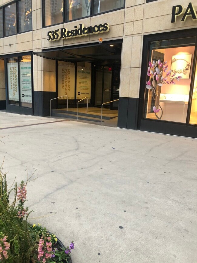 Foto del edificio - 535 N Michigan Ave