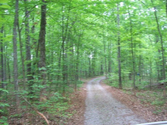 Building Photo - 2 bed  2 bath home in wiht woods with a pond
