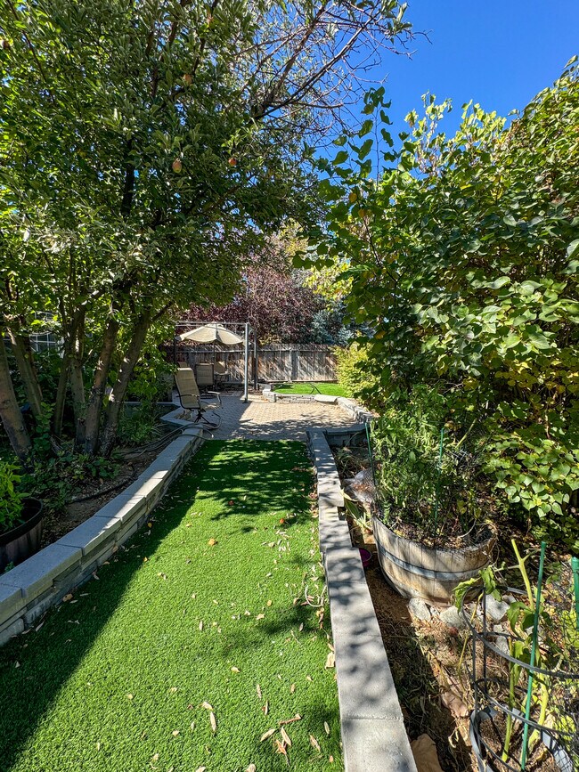 593 Putnam Dr, Reno, NV 89503 House Rental in Reno, NV