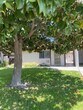 Foto principal - 2154 Woodberry Ave