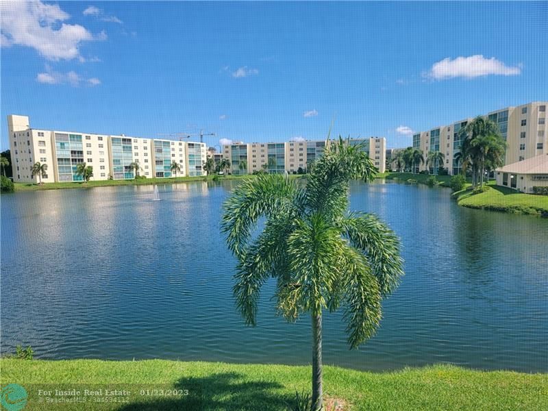 141 SE 3rd Ave Unit 205, Dania Beach, FL 33004 Condo for Rent in